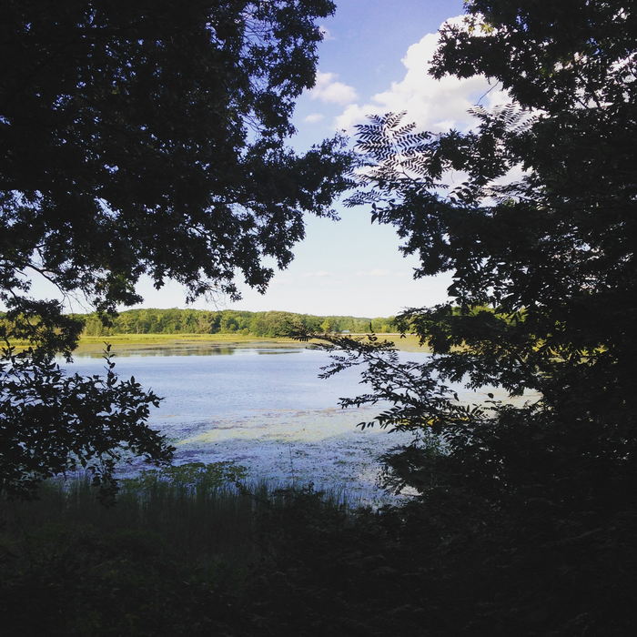 Kensington Metropark - 2015 Photo